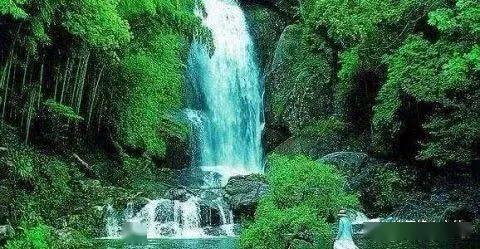 【美泰调解】棉花地随意涨租？律师介入，力挽狂澜！